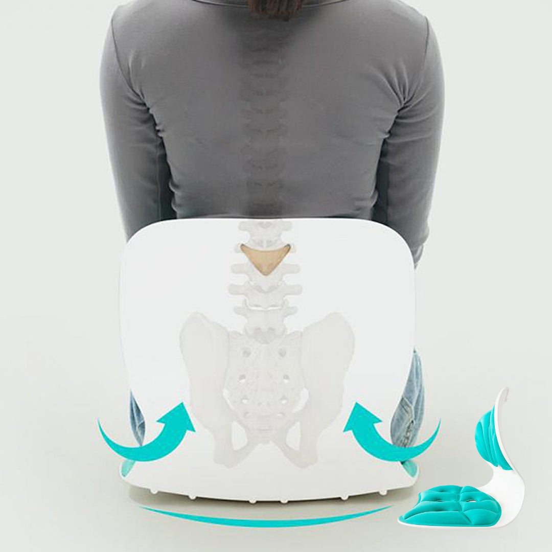 SOPORTE DE ESPALDA PARA SILLA