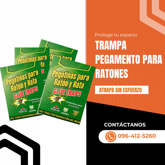 TRAMPA DE RATAS