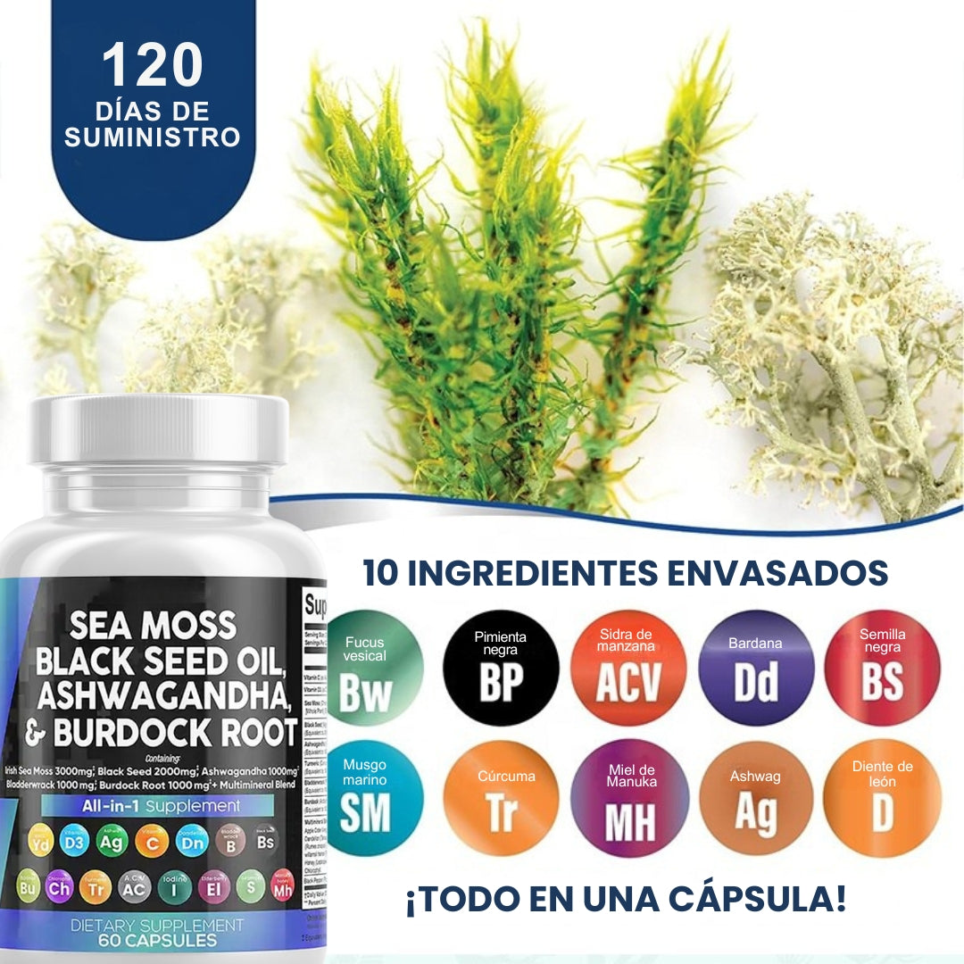 SEA MOSS BLACKSEED OIL