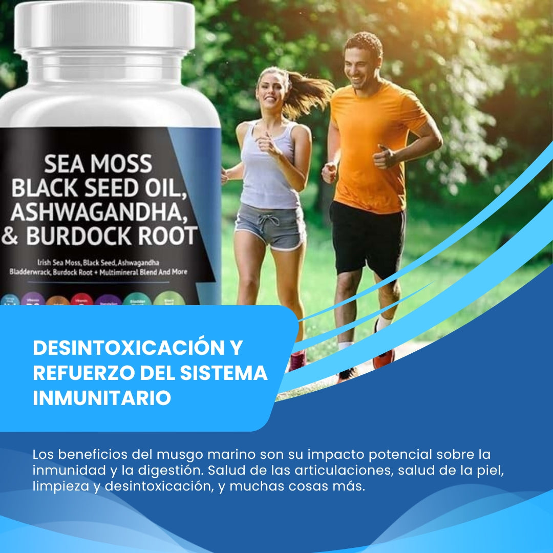 SEA MOSS BLACKSEED OIL