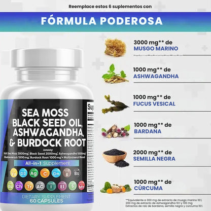 SEA MOSS BLACKSEED OIL