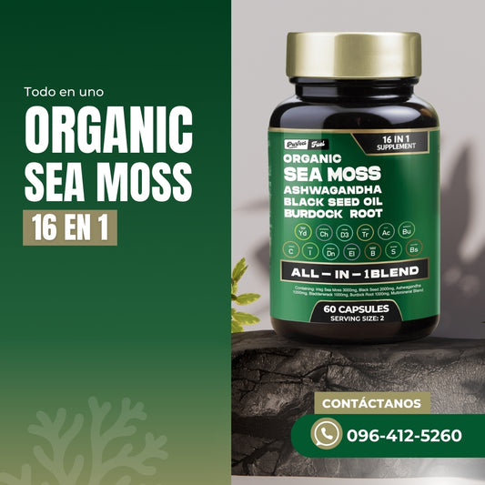 ORGANIC SEA MOSS